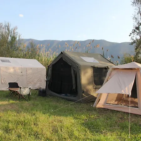 Hotel Oaz & Camp - *